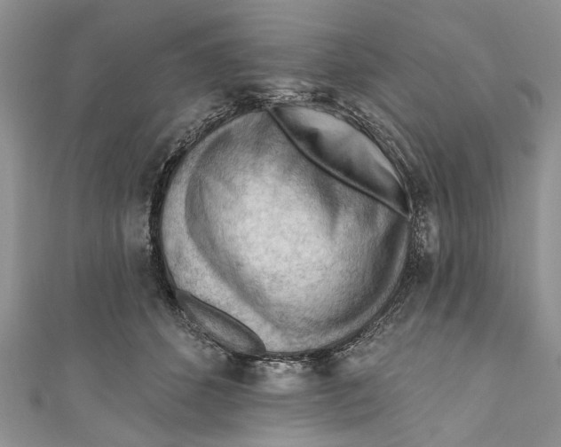 X0000111040512200907161347