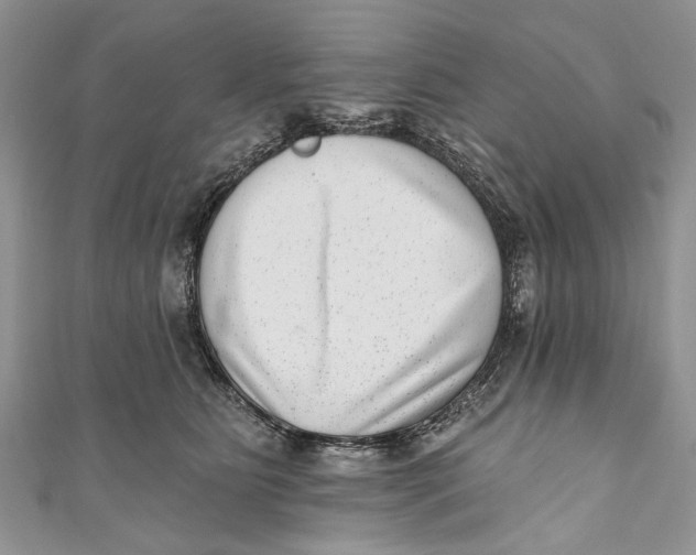 X0000111040515200907161347