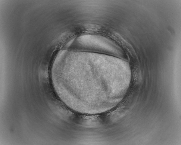 X0000111040516200907161347