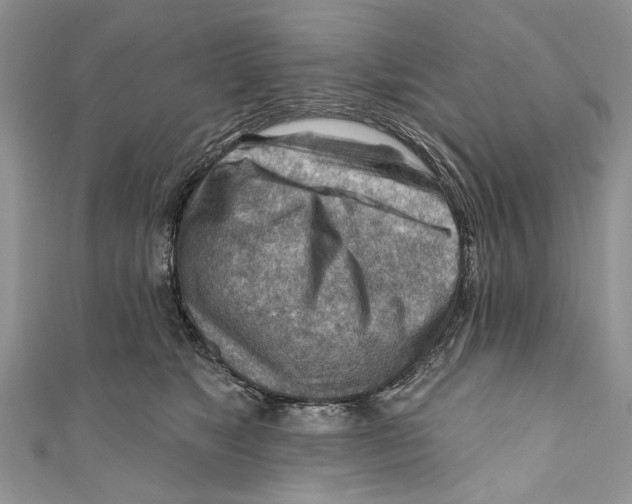 X0000111040517200907161347