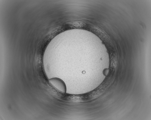 X0000111040518200907161347