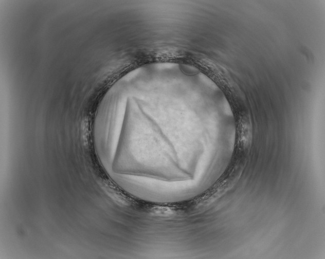 X0000111040519200907161347