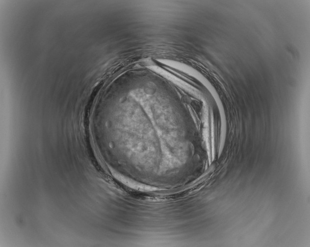 X0000111040520200907161347