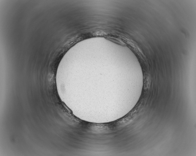 X0000111040521200907161347