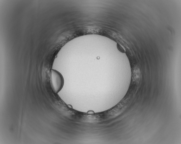 X0000111040522200907161347