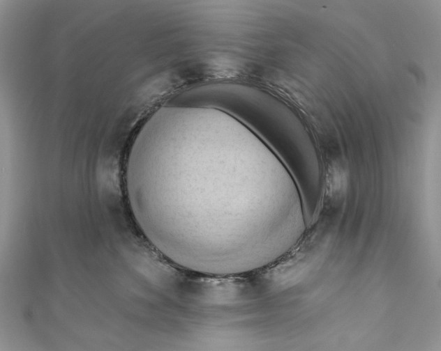 X0000111040524200907161347