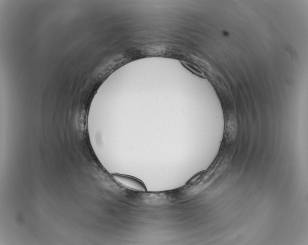 X0000111040525200907161347