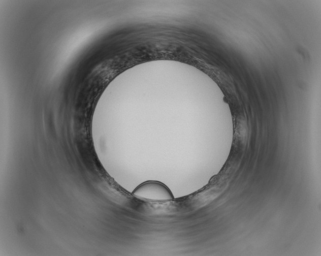 X0000111040526200907161347