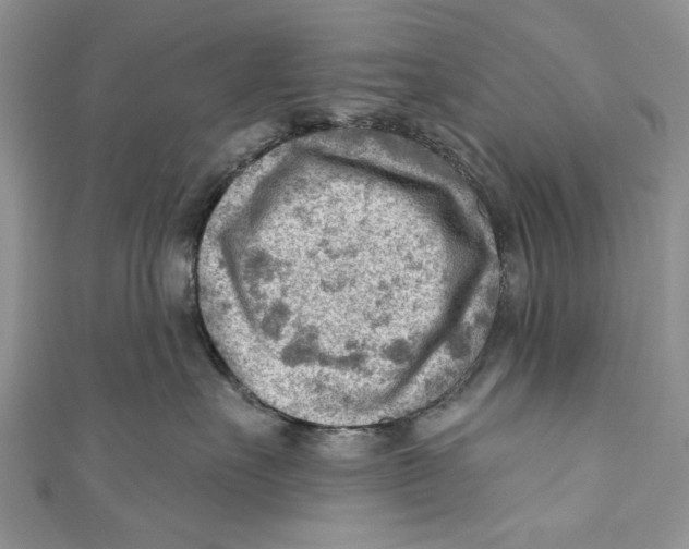 X0000111040527200907161347