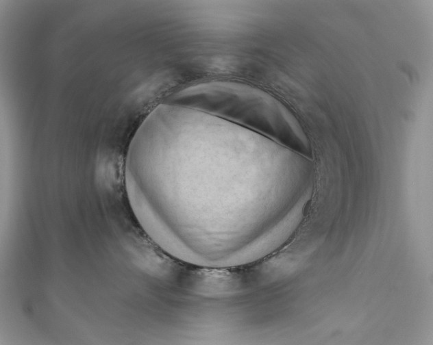 X0000111040528200907161347