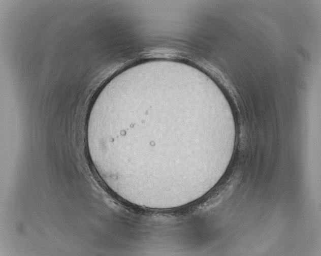 X0000111040529200907161346