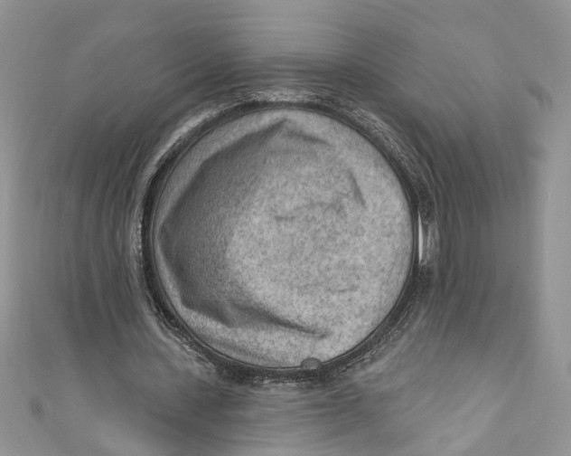 X0000111040531200907161346