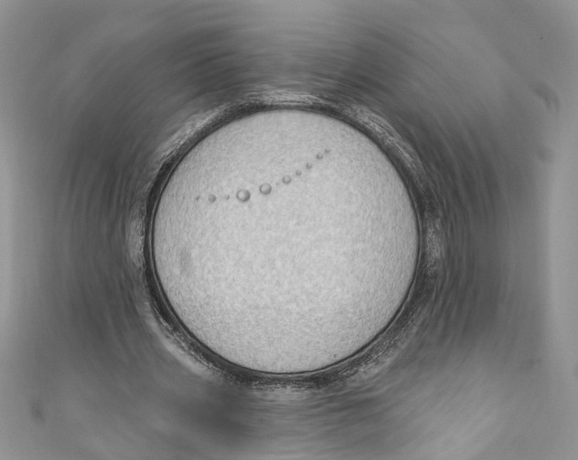 X0000111040533200907161346