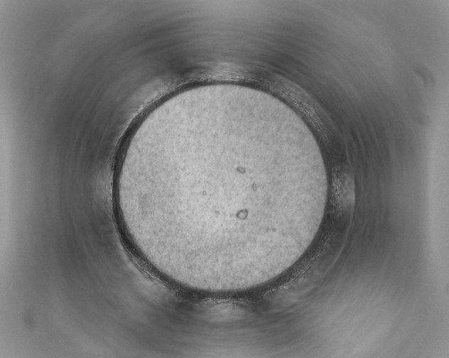 X0000111040534200907161346