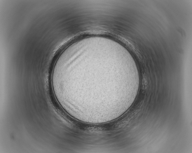 X0000111040535200907161346