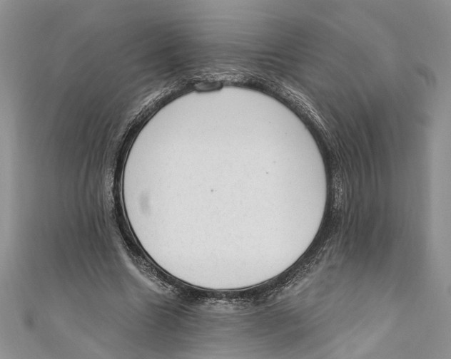 X0000111040538200907161347