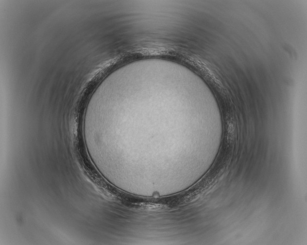 X0000111040539200907161347