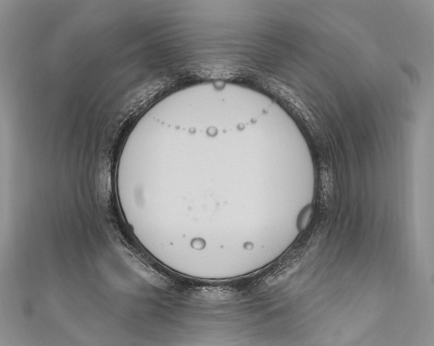 X0000111040541200907161347