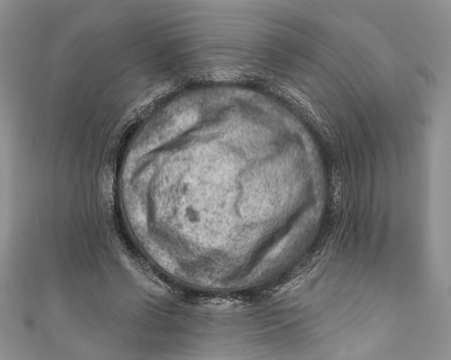 X0000111040542200907161347