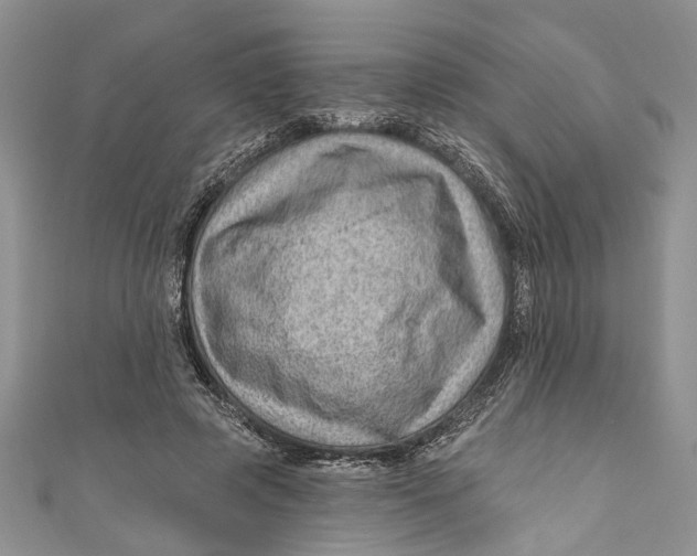 X0000111040545200907161347