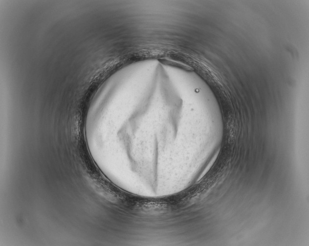 X0000111040546200907161347