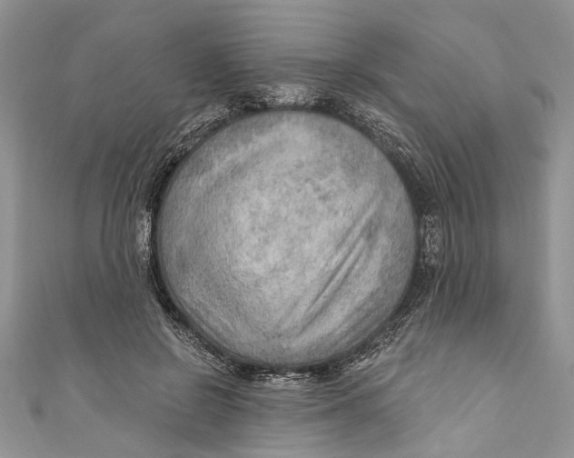 X0000111040550200907161347