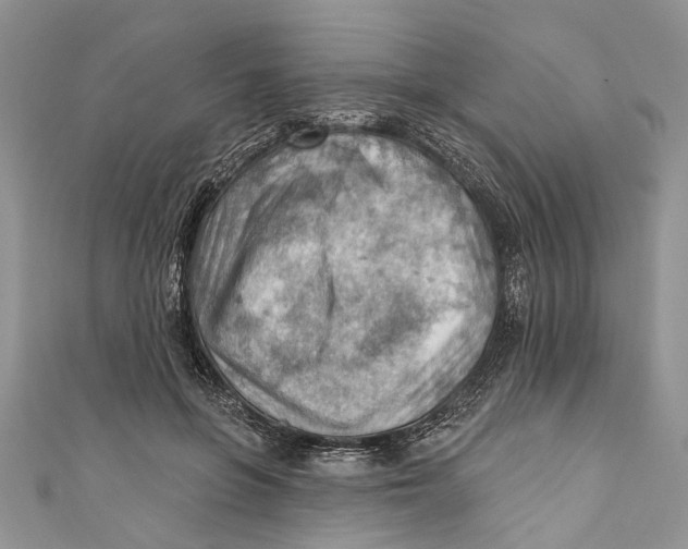 X0000111040551200907161347