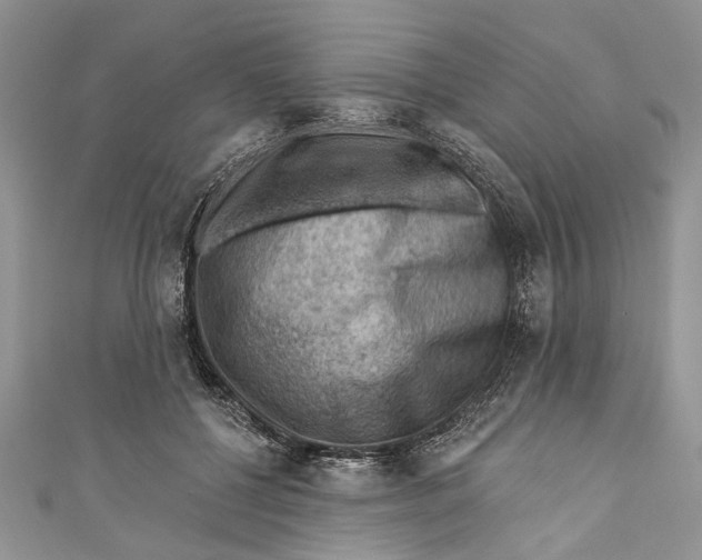 X0000111040552200907161347