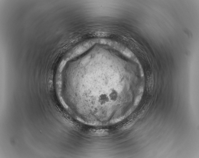 X0000111040553200907161347