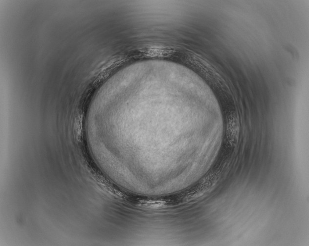 X0000111040554200907161347