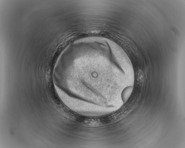 X0000111040559200907161347