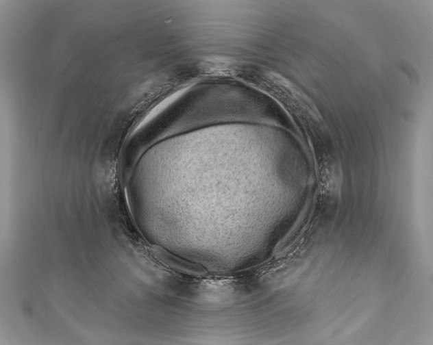 X0000111040560200907161347