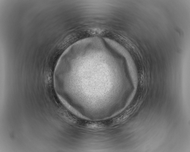 X0000111040561200907161347