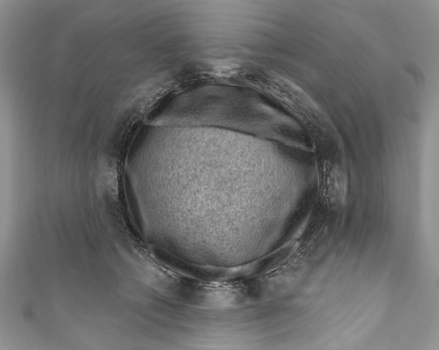 X0000111040562200907161347