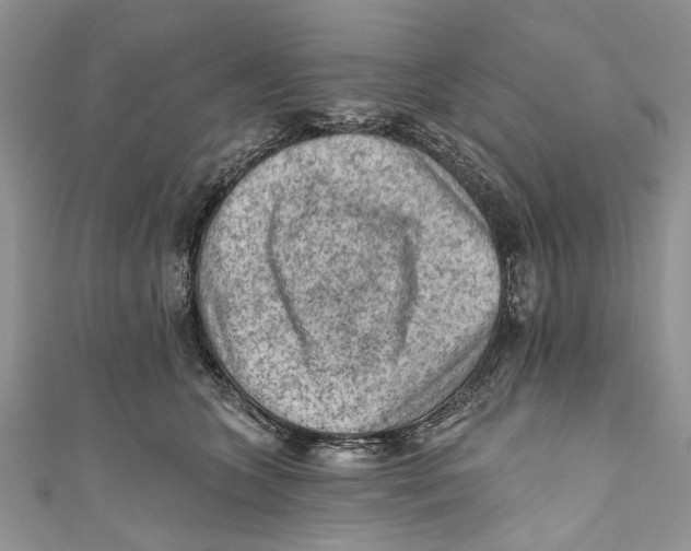 X0000111040563200907161347