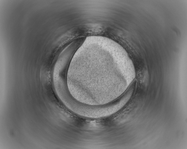 X0000111040564200907161347