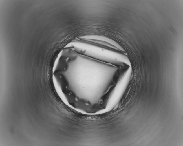 X0000111040566200907161347