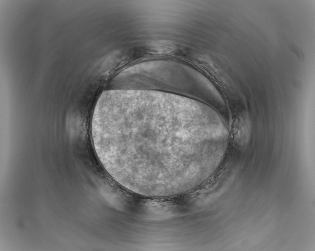 X0000111040568200907161347