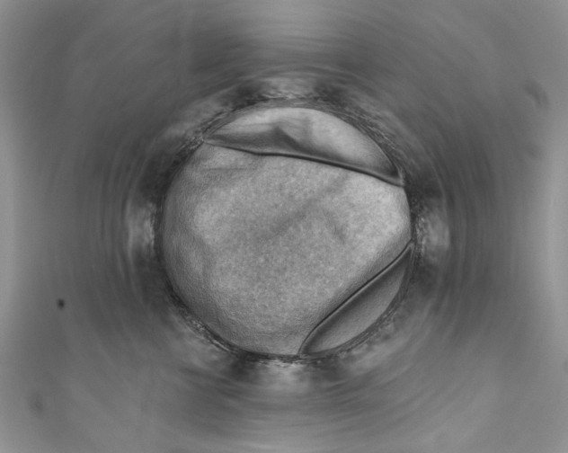 X0000111040570200907161347