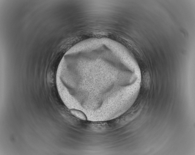 X0000111040571200907161347