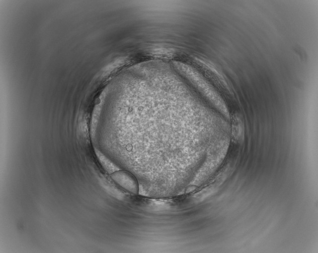 X0000111040573200907161347