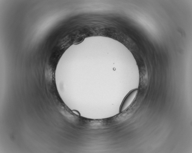 X0000111040574200907161347