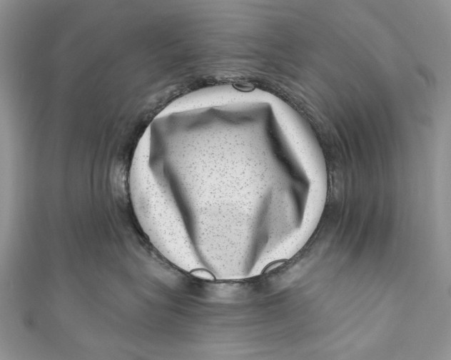 X0000111040575200907161347