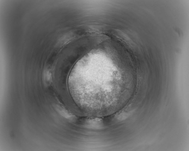 X0000111040576200907161347