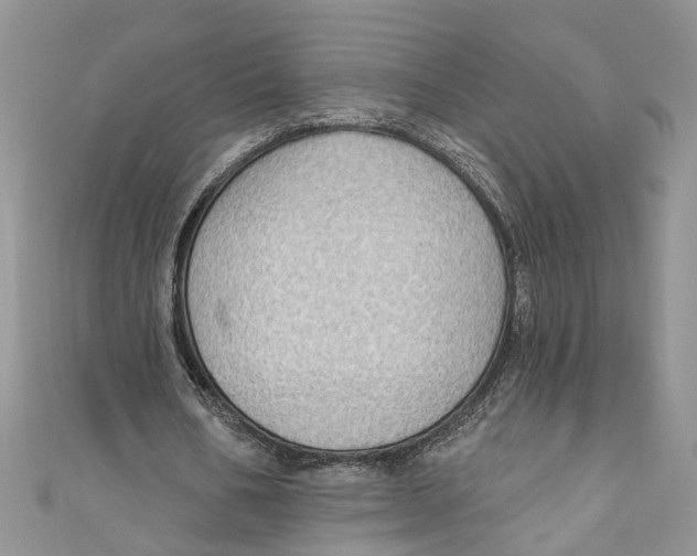 X0000111040578200907161346