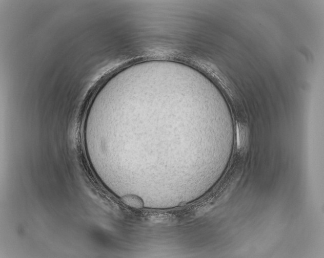 X0000111040579200907161346