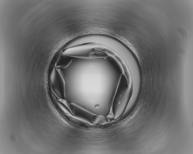 X0000111040581200907161346