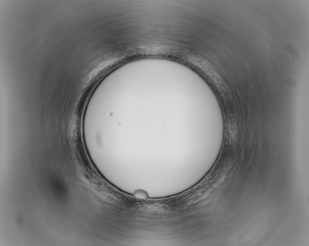 X0000111040583200907161346