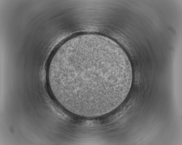 X0000111040584200907161346