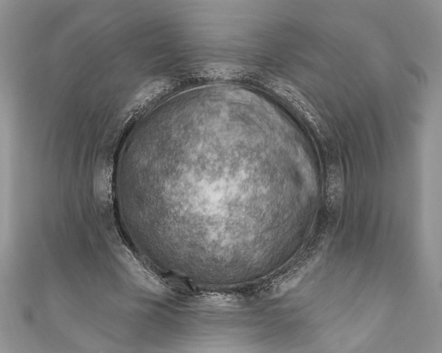 X0000111040585200907161346